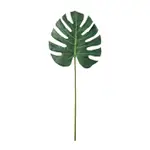 [Elme Living] Monstera Lush Stem - 33 x 2 x 78cm