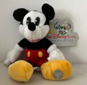 Walt Disney World 2000 Millenium Pie Eyed Mickey Mouse Bean Bag