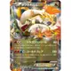 🌸老吉科🍀 Pokémon TCG PTCG 日版絕版BW系列 BW6 一刷 焰白酋雷姆EX 閃卡 寶可夢卡牌 神奇寶貝