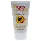 Peach and Willow Bark Deep Pore Scrub by Burts Bees for Women - 4 oz Scrub