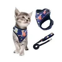 在飛比找Yahoo奇摩購物中心優惠-動物星球貓咪專用胸背帶 附專用牽繩 XXS號 （牽繩 遛貓）