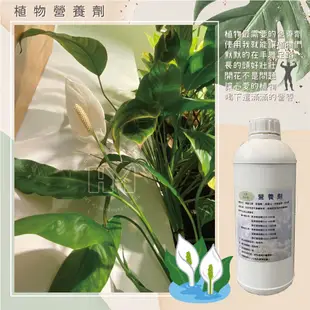 泓米 | 水耕植物營養液 植物綜合營養液 室內水耕花牆營養劑 1000ml