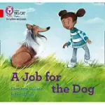 A JOB FOR THE DOG: BAND 2B/RED B