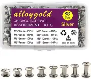 Silver Chicago Screws Leather Rivets Assorted ，8 Sizes of Screw Rivets Chicago S