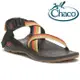 【台灣黑熊】美國 Chaco 女 Z/1 CLASSIC 越野運動涼鞋--標準款 戶外涼鞋 CH-ZCW01-HI11 熱帶苔癬