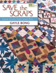 Save the Scraps: Great Quilts from Small Bits by Gayle Bong