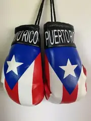 PUERTO RICO HANGING MINI BOXING GLOVES BORICUA FLAG FREE SHIPPING