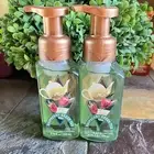 Bath & Body Works Foaming Hand Soap Lot Set of 2 Raspberry Green Tea