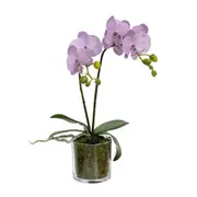 Glamorous Fusion Lavender Orchid Artificial Fake Plant Decorative Arrangement 40cm In Cylinder Glass