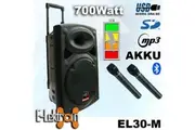 E-Lektron EL-30M 12" inch Mobile PA Bluetooth Speaker Rechargeable Sound System w/ 2 wireless Microphone