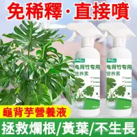 在飛比找蝦皮購物優惠-【高雄出貨】龜背竹 龜背芋 專用肥 水培 西瓜皮椒草 水養植