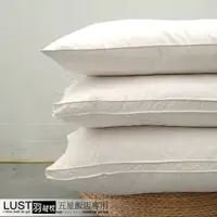 在飛比找蝦皮商城優惠-【LUST】五星級飯店專用-羽絨枕 100%羽絨/羽毛枕/1