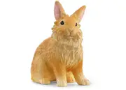 Lionhead Rabbit