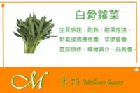 在飛比找Yahoo!奇摩拍賣優惠-《Meilleur》白骨蕹菜10元 約300粒