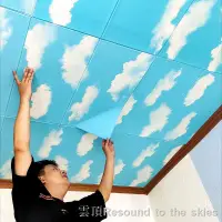 在飛比找蝦皮商城精選優惠-天花板牆貼 自粘牆貼 天花板貼 天花板裝飾 天花板貼紙3d立