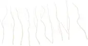 VALICLUD 10Pcs Willow Diffuser Sticks for Home Fragrance Decoration Oil Diffuser Sticks for Office Living Room and Bathroom Natural Aroma Diffuser Accessories