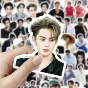 Dylan Wang Hedi 王鹤棣 100pcs Stickers Collection