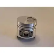 Austral Piston Set - PO1089 STD