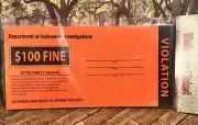 Halloween Party Favor Violations Crasher Sloppy Drunk Texting Failure Dress Up