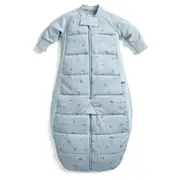 ErgoPouch Sleep Suit Bag TOG 2.5 Baby/Toddler Cotton Dragonflies 4-6 years