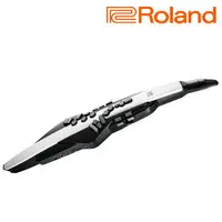 在飛比找樂天市場購物網優惠-【非凡樂器】『ROLAND樂蘭』Aerophone GO電子