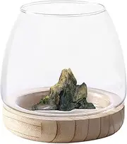 Glass Hydroponic Plant Terrarium, Glass Bottle Hydroponic Terrarium Container With Wooden Support, Transparent Glass Fish Tank Vase For Propagating Hydroponic Plants