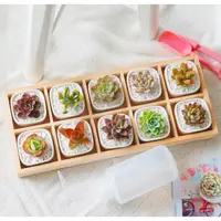 在飛比找蝦皮購物優惠-簡約白色創意多肉植物陶瓷10格木盒套裝zakka盆栽肉肉拼盤
