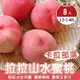【果農直配】卡拉部落拉拉山水蜜桃8入禮盒2盒(每盒1.2-1.4kg)