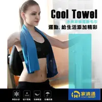 在飛比找蝦皮購物優惠-【家適通】涼感巾 Cool Towel 機能運動舒適涼感冰絲
