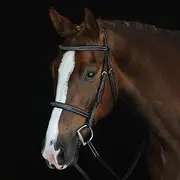 Bello-Equine Fancy Stitch Black Bridle with Removeable Flash