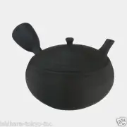 Tokoname Pottery :HOKURYU Japanese Pottery Kyusu Tea Pot 300cc ceramic mesh net