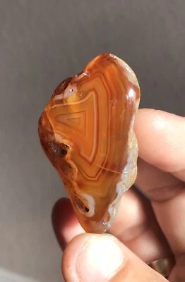313 Carat Washington State Red Orange Carnelian Hand Polished Banded Agate