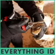 ELECTROCOUP F3020 SHEEP GOAT HOOF POWER PARER FOOT ROT SHEARS PARING SECATEURS