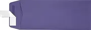 LUXPaper #10 Policy Business Envelopes | Peel & Press | 4 1/8" x 9 1/2" | Wisteria Purple | 80lb. Text | 50 Qty