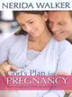 God's Plan for Pregnancy―From Conception to Childbirth and Beyond