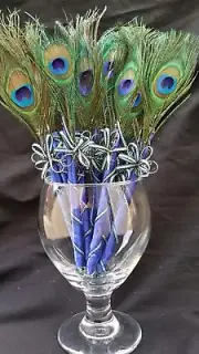 10Peacock Feather Pen Party,forParty,Sweet16,Bridal S,Boda GIft,Weddin Supplies