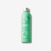 Exfoliating & Balancing Shampoo (Treat Dandruff)