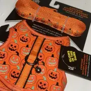 Thrills & Chills Kitten Cat Costume Comfort Harness Leash Pumpkin Halloween/101c