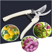 Plant Pruning Shears Garden Trimmer Scissors Cutting Clipper Hand Pruner Tool RK