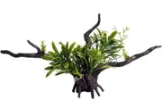 Aqua One Ecoscape Green Bromealiad Driftwood