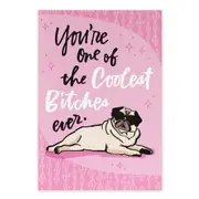 Hallmark Shoebox Birthday Card - One of the Coolest