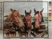 Printed needlepoint canvas Only 50x60 Cm Collection D Art Horses