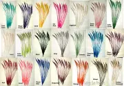 50 Peacock Sword Feathers 15-25" L Bleached & Dyed in 21 colors USA Seller