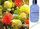 AUSTRALIAN FLORALS & HONEY - Reed Diffuser Refill