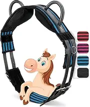Esposita Riding Belt with 2 Handles Made of Leather for Holding on for Children and Beginners, Also Suitable as a Lunging Belt, Vaulting Belt or as a Wooden Horse Accessory