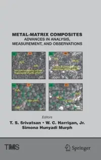 在飛比找博客來優惠-Metal-Matrix Composites: Advan