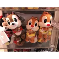在飛比找蝦皮商城精選優惠-咩代購🌸 香港迪士尼 奇奇蒂蒂磁鐵玩偶