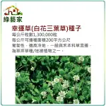 【綠藝家】M09.幸運草(白花三葉草)種子7500顆