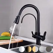 Kitchen faucet - Two Handles One Hole Electroplated / Painted Finishes Pull-out / Pull-down / Tall / High Arc / Purified water Centerset Modern Contemporary Ki