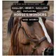 Gallop, Henry, Gallop!: Exploring Horse’s Wonders
